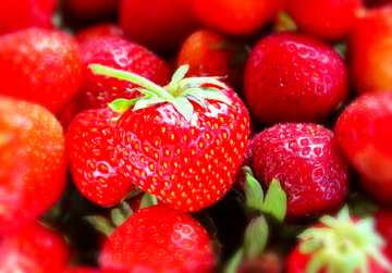 FX №206951 Strawberries texture blur frame