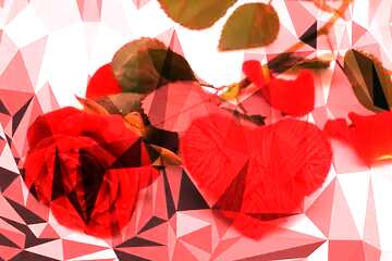 FX №206090 A rose and heart Polygonal abstract geometrical background with triangles