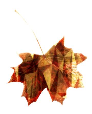 FX №206723 Dry leaf texture polygonal red