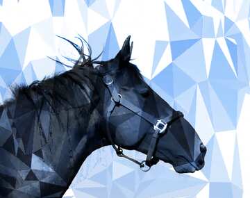 FX №206053 Horse`s head polygonal sky  background