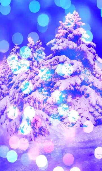FX №207903 Snow  Trees  bokeh background blue