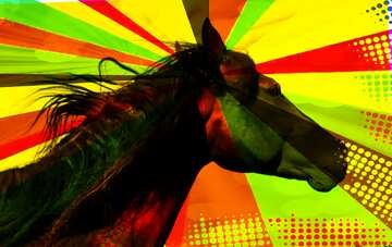 FX №207233 Black Horse portrait colors rays