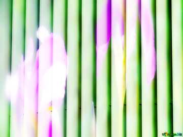FX №207049 blinds texture different thickness lines Flowers