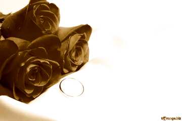 FX №207800 Bouquet Roses Flowers  sepia ring
