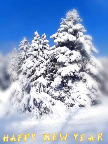 FX №207895 Snow  Trees  blur frame card happy new year