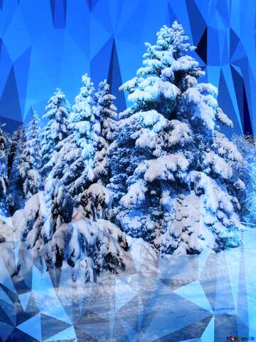 FX №207890 Snow  Trees  polygonal background