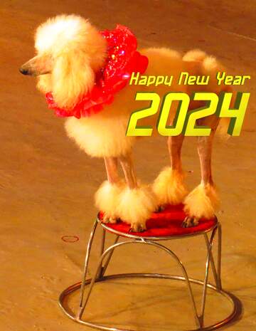 FX №207344 Circus dog happy new year 2024