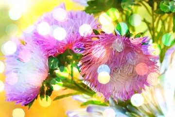 FX №208722 Aster flowers Art Greeting Card Background