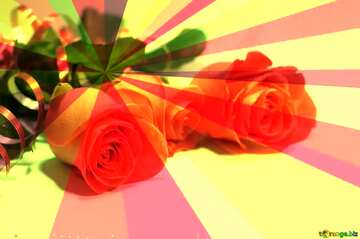 FX №208834 Roses rays background