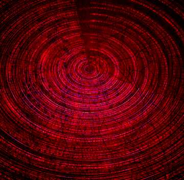 FX №208082 Digital Binary Futuristic red background