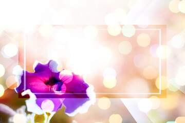 FX №209693 responsive background with flower