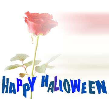 FX №209119 Texture rose isolated on white background happy halloween