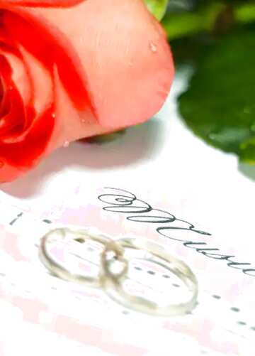 FX №21482 card rose rings music note flower