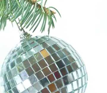 FX №21416 Image for profile picture Mirror  ball  at  tree..