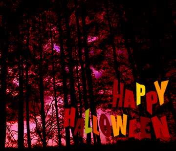 FX №210566 Dark red  forest happy halloween