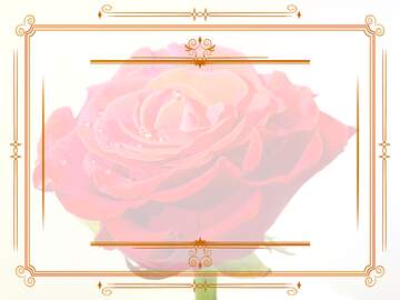 FX №210894 Vintage frame retro clip art rose flower