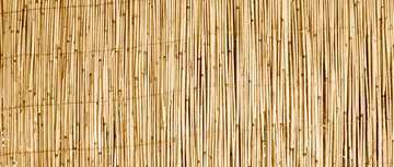 FX №210588 straw texture