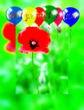 FX №210264 Poppy flower happy birthday card background