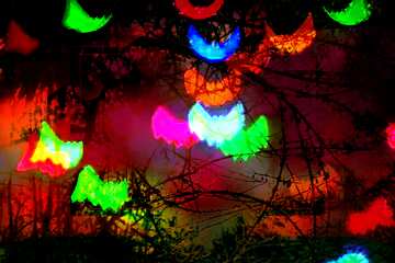 FX №210005 Bat bokeh lights  forest dark red halloween Background