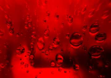 FX №210956 Raindrops red macro background
