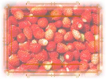 FX №210826 Strawberry Frame Vintage Lines Retro