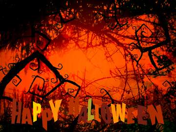 FX №210296 Beautiful Halloween Spooky forest background