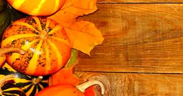 FX №210841 Autumn wooden background with pumpkins side