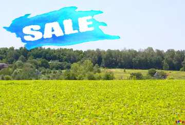 FX №211029 Ukrainian land sale