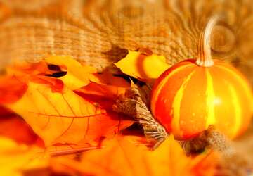 FX №211181 Beautiful picture with pumpkin and autumn leaves blur frame