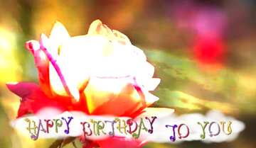 FX №211145 Pink rose happy birthday card