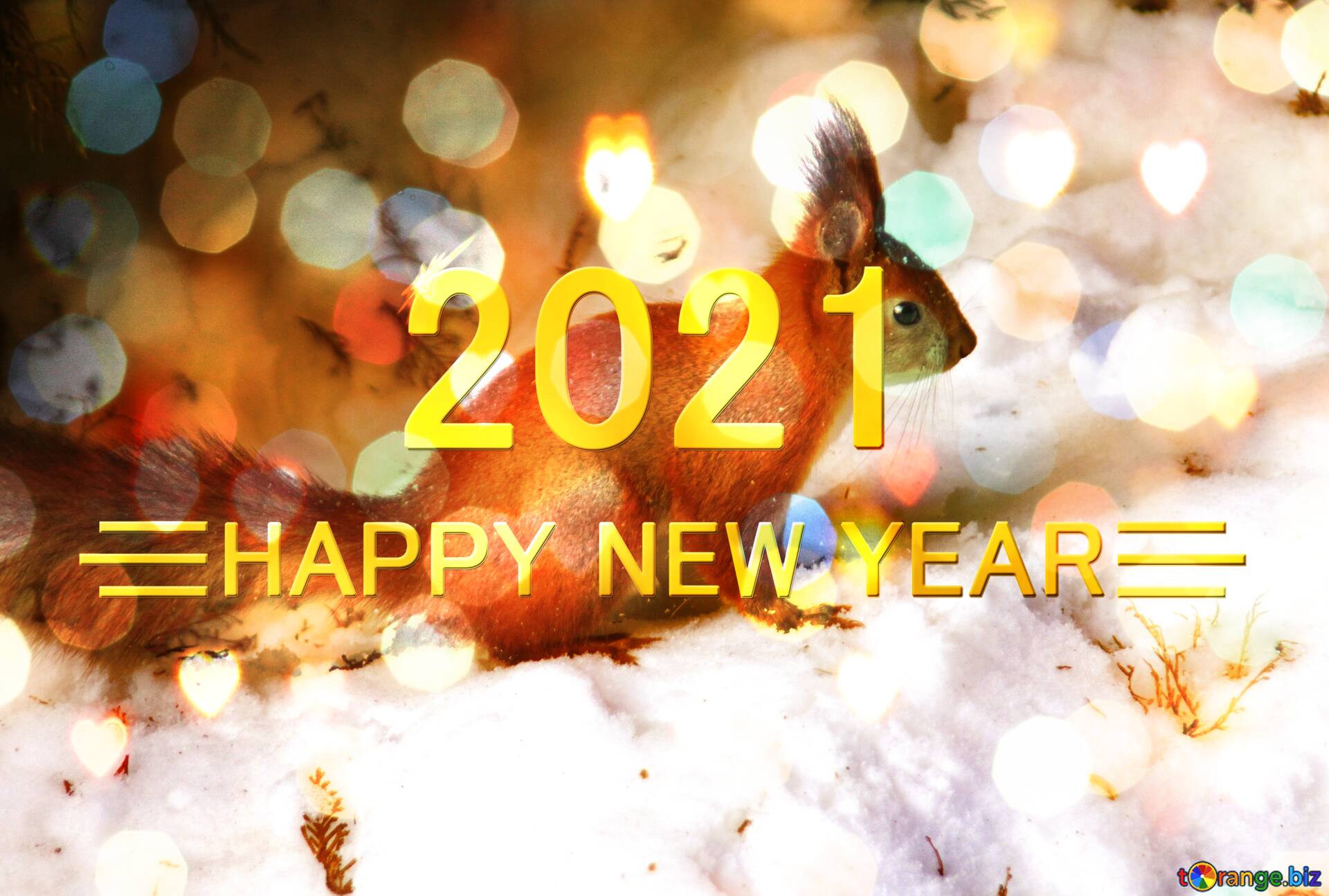 免费图片squirrel sitting in the snow happy new year 2021