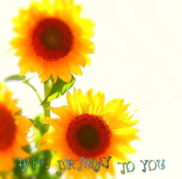 FX №212999 Bouquet of sunflowers for wishes happy birthday