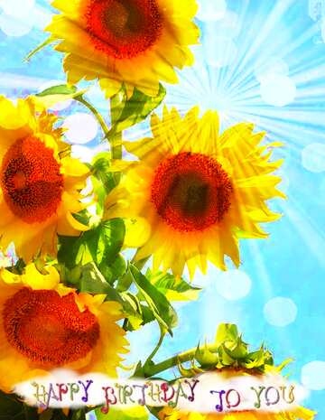 FX №212998 Bouquet sunflowers sunlight happy birthday card