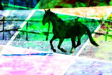 FX №213115 Black colt galloping contemporary art abstract