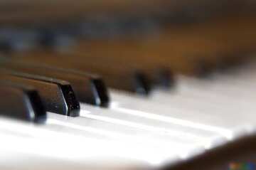 FX №213479 Piano Keyboard blur frame