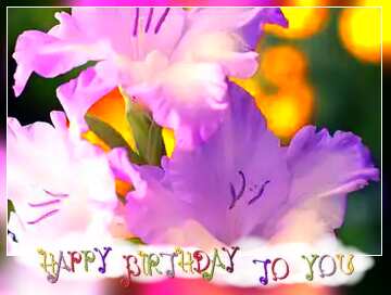 FX №215819 Beautiful flowers for congratulations frame happy birthday