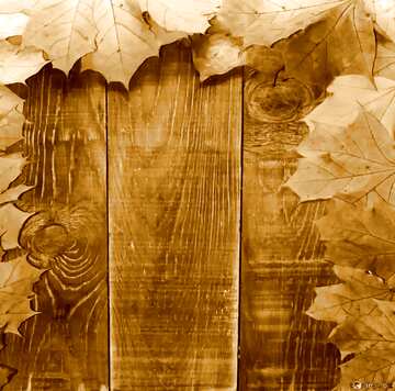 FX №215689 Background blank cards for autumn leaves sepia