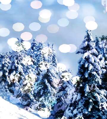 FX №216142 Christmas Tree Winter Forest Snow background
