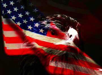 FX №218378 Golden eagle USA American  background