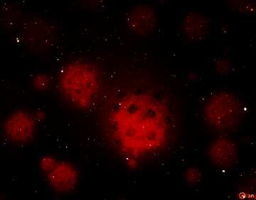 FX №219380 Starry Red Space Planet Global Concept Technology background virus background