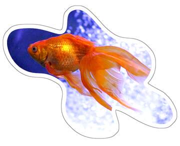 FX №220042 Sticker goldfish