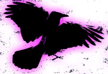 FX №221340 Crow silhouette  art