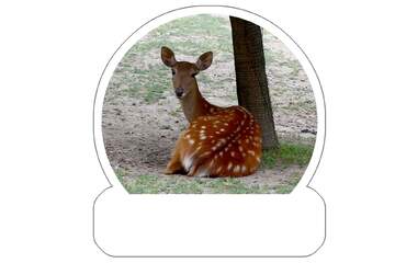 FX №221079 Deer Sticker