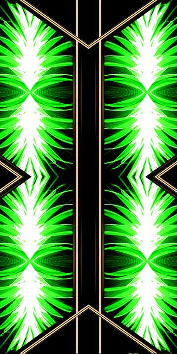 FX №221659 Green fractal  lines pattern frame