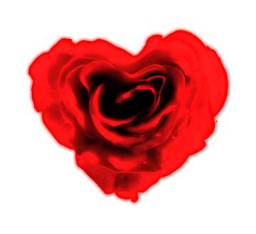 FX №221565 Rose heart red flower