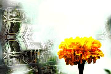 FX №222988 Marigold flower on  Abstract Mechanic pipe background