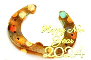 FX №223281 Good luck  horseshoes happy new year 2024