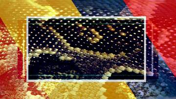 FX №229696 Snakes background