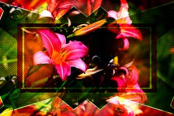 FX №230008 Flower art card background