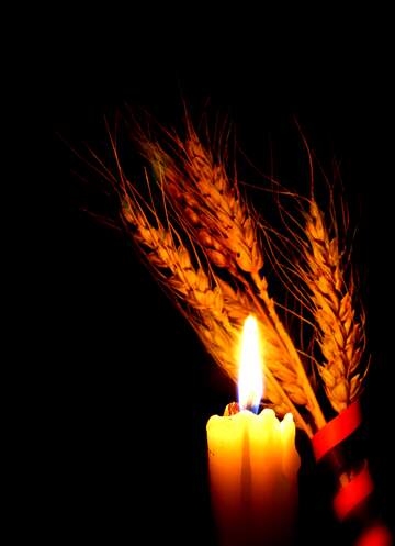 FX №231863 candle and wheat
